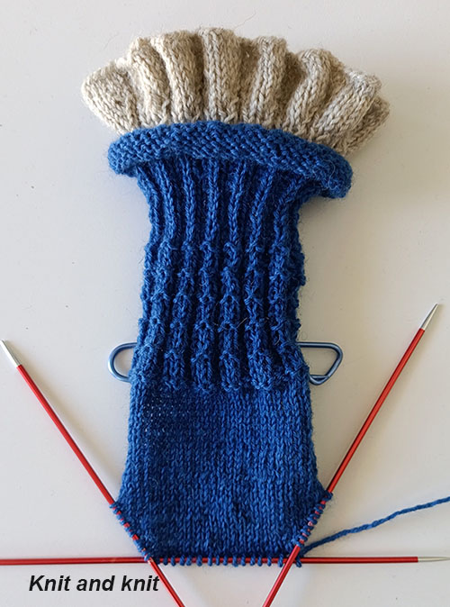 women’s-ruffle-socks
