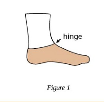 women-s-flutterby-socks-by-cat-bordhi