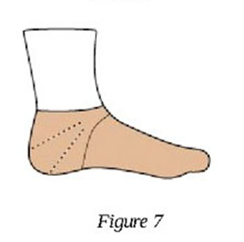 women-s-flutterby-socks 